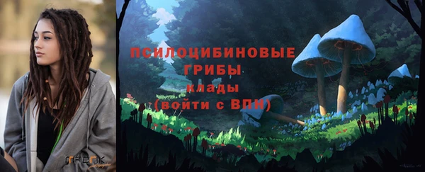 стаф Медвежьегорск