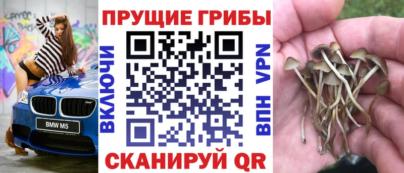 что такое наркотик  Новомосковск  Псилоцибиновые грибы GOLDEN TEACHER 