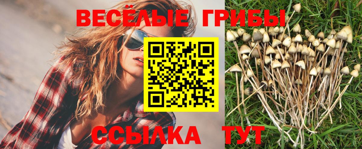 Псилоцибиновые грибы Psilocybine cubensis  Вход с VPN  Новомосковск  хочу   Галлюциногенные грибы Magic Shrooms 